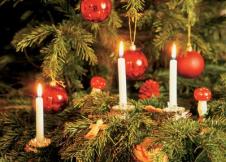 live candle christmas tree